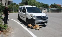 Uyuşturucu tacirlerinin korkulu rüyası 'Jack'