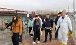 Bünyan’da öğrencilerden sokak hayvanları için anlamlı etkinlik