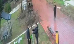 Parkta tepki çeken görüntü: Kuş yuvasını parçaladılar