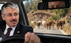 İncesu yolunda şaşırtan görüntü! Milletvekili Çopuroğlu o anları paylaştı