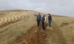 Kayseri’de 11 Kasım hazırlığı! Binlerce fidan toprakla buluşacak