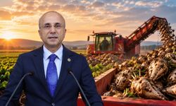 YENİ Partili Genç’ten pancar fiyatına sert çıkış: “Gübre de mazot da yüzde 100 arttı, zam yüzde 20”