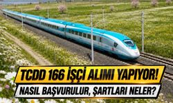 TCDD 166 işçi alacak! KPSS şartı yok, yaş sınırı belli oldu