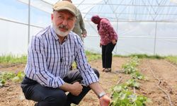 Kayseri’de kadın üreticilerden 15 tonluk hasat! Şehir merkezinde örnek proje