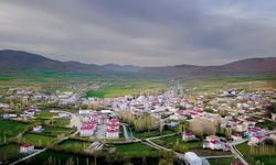 Sarız icradan satılık taşınmazlar: Pınarbaşı, Altısöğüt, Yaylacı
