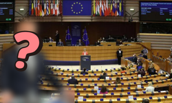 Avrupa Konseyi toplantısında Türkiye’yi bakın kim temsil edecek?