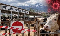 Kayseri’nin komşusunda hayvan pazarı kapatıldı! Şap alarmı