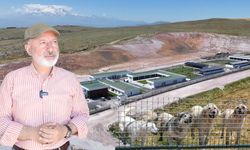 Kocasinan’da can dostlar için örnek hizmet! Tüm ihtiyaçları karşılanıyor