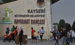Kayseri’de 4 Ekim sürprizi! Hayvanat bahçesi ücretsiz olacak