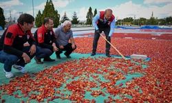 Kayseri’nin tescilli ürünü Cırgalan Biberi’nde kurutma ve öğütme dönemi başladı