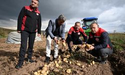 Kayseri’de patates hasadına katılan İl Müdürü Saklav’dan çiftçilere destek mesajı