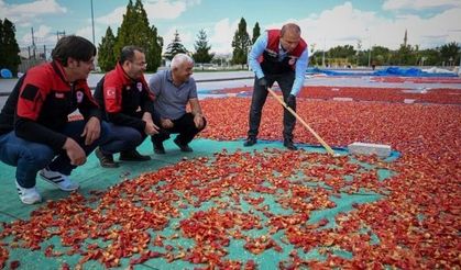 Kayseri’nin tescilli ürünü Cırgalan Biberi’nde kurutma ve öğütme dönemi başladı