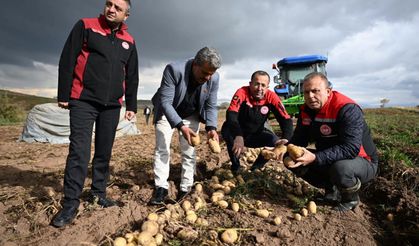 Kayseri’de patates hasadına katılan İl Müdürü Saklav’dan çiftçilere destek mesajı