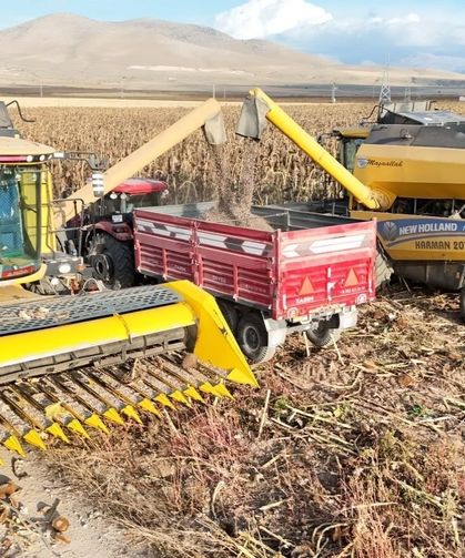 Tomarza’da ayçiçeği hasadı başladı! 2027 hedefi 30 bin dekar