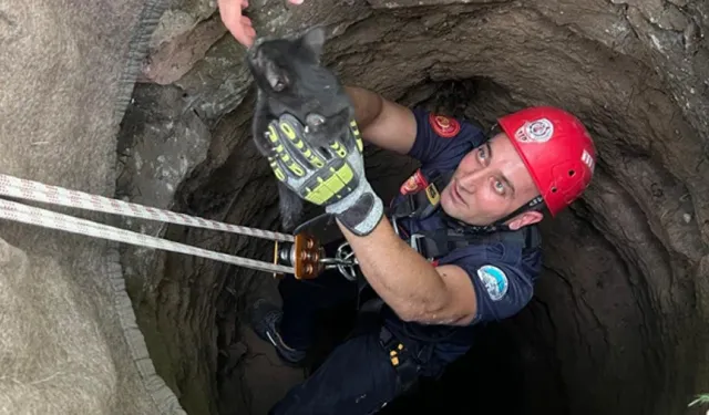 Kuyuya düşen yavru kedi kurtarıldı