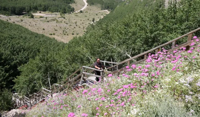'Kayseri'nin akciğeri' ziyaretçilere unutulmaz anlar yaşatıyor