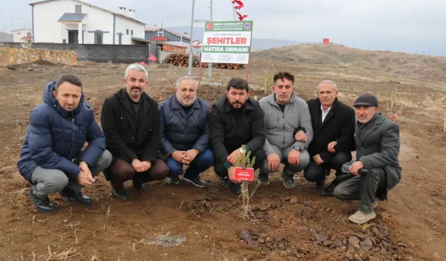 Sivas'ta şehitlerin anısına fidan dikildi
