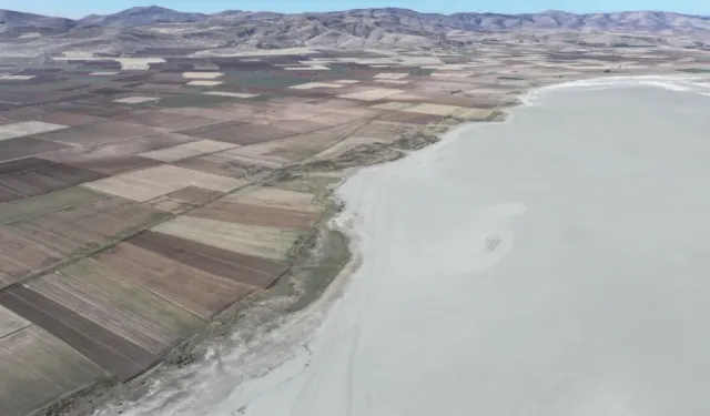 Tamamen kuruyan Seyfe Gölü Kuş Cenneti sessizliğe büründü