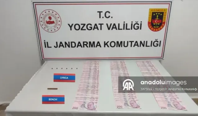 Yozgat'ta uyuşturucu operasyonunda 1 zanlı yakalandı