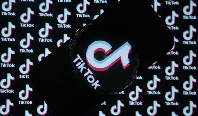 TikTok Türkiye'de 15,3 milyon videoyu neden sildi?