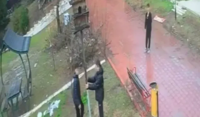 Parkta tepki çeken görüntü: Kuş yuvasını parçaladılar