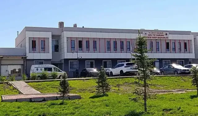 Yolun karşısına geçmek isterken canından oldu