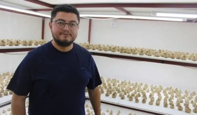 Kayserili girişimci denedi, başardı: Safran üretimi başladı