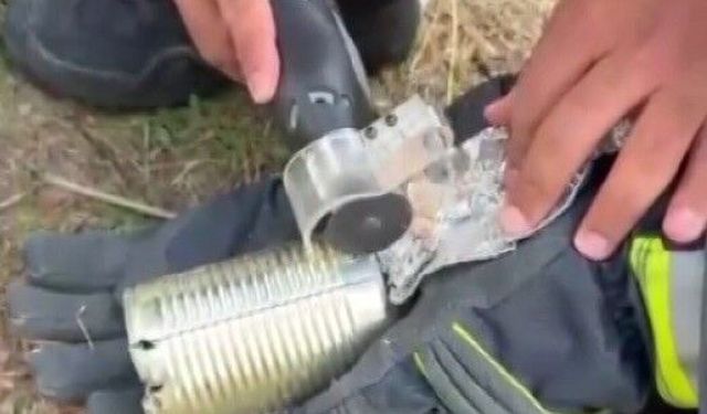 Kayseri’de kafası konserve kutusuna sıkışan kedi kurtarıldı