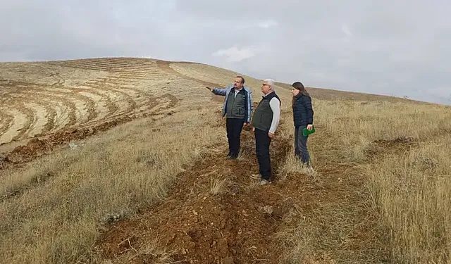 Kayseri’de 11 Kasım hazırlığı! Binlerce fidan toprakla buluşacak