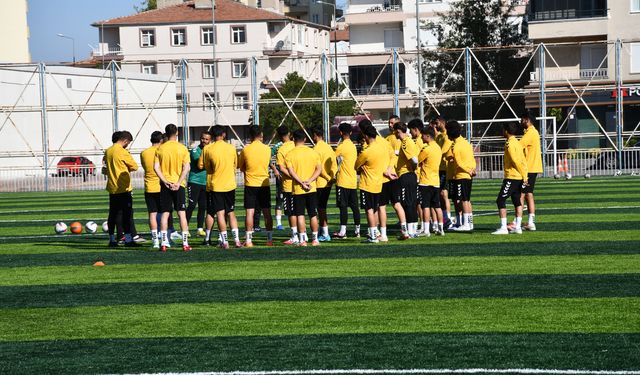 Spor