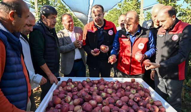 Kayseri’de elma hasadına katıldılar! Yeşilhisar’da üreticilerle buluştular