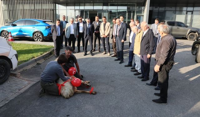 Ömer Gülsoy yeni dönemin ilk mesajını verdi: “Kayseri’nin adını en üst sıralara taşıyacağız”