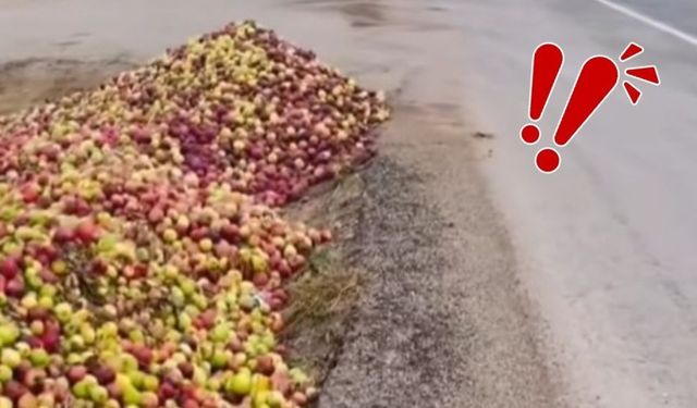 Yahyalı’da yol kenarına yığılan elmalar tartışma yarattı: Belediye “israf” iddialarına yanıt verdi