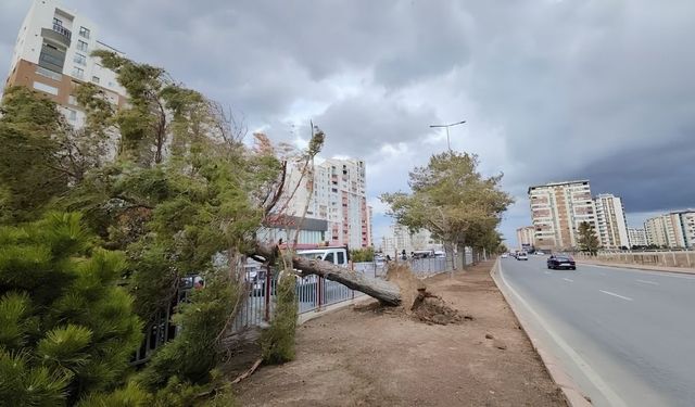 Kayseri’de hafta sonuna dikkat: Rüzgâr saatte 80 kilometreye kadar çıkabilir