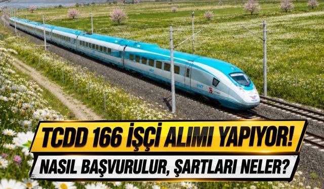 TCDD 166 işçi alacak! KPSS şartı yok, yaş sınırı belli oldu