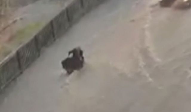 İstanbul’da sağanak paniği! Esenyurt’ta akıntıya kapılan kadını vatandaşlar kurtardı