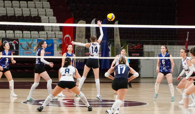 Spor