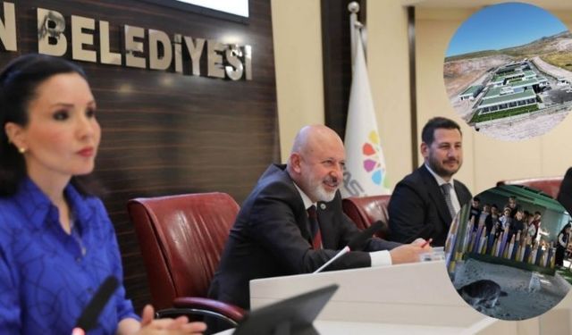 Kocasinan’da sokak hayvanları için örnek model! Detaylar dikkat çekti