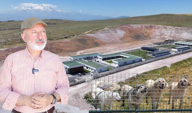 Kocasinan’da can dostlar için örnek hizmet! Tüm ihtiyaçları karşılanıyor