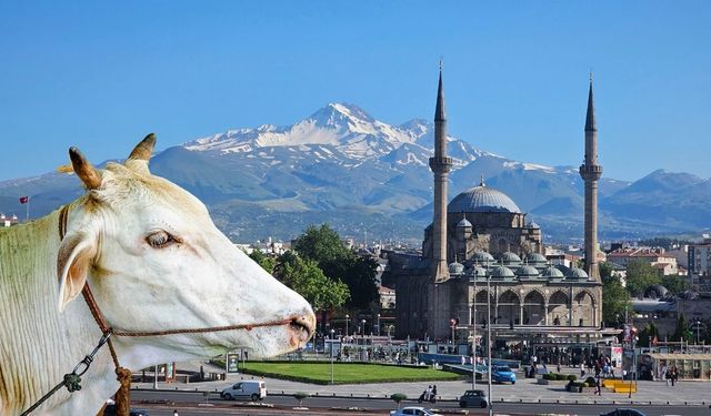 Kayseri’de hayvancılık yapanlar dikkat! İşletmeler A’dan E’ye ayrılacak