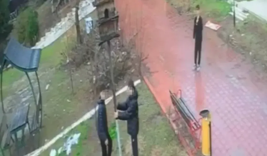 Parkta tepki çeken görüntü: Kuş yuvasını parçaladılar