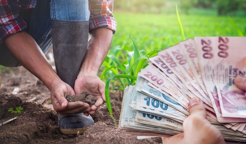 Genç çiftçilere 5 milyon TL kredi desteği! Başvuru şartları belli oldu