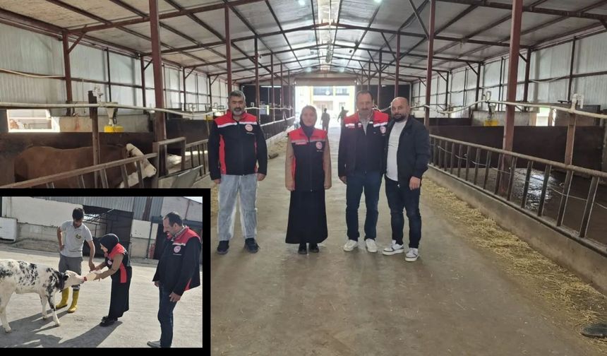 Felahiye Kaymakamı Sağıroğluğil’den besi çiftliğine ziyaret