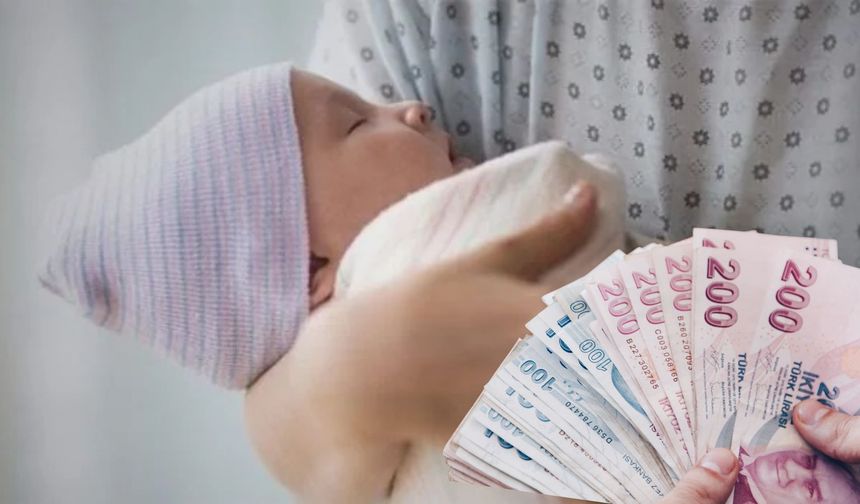 Annelerin hesaplarına para yattı! Bakanlık toplam tutarı duyurdu