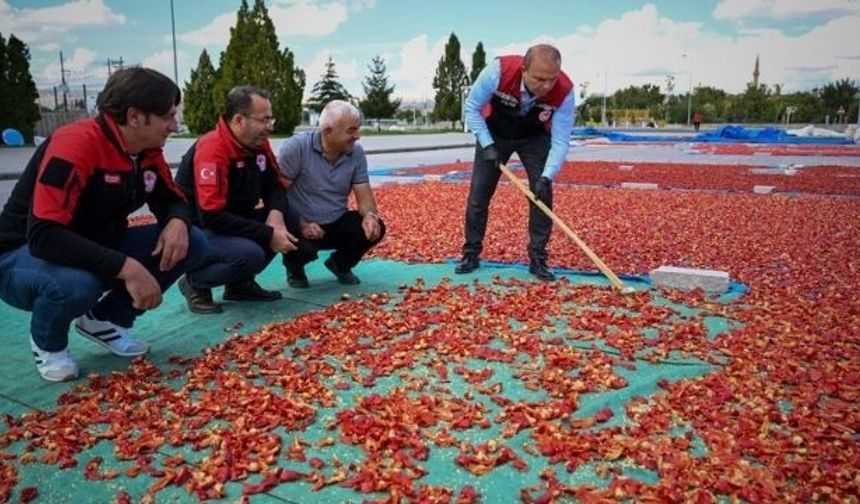 Kayseri’nin tescilli ürünü Cırgalan Biberi’nde kurutma ve öğütme dönemi başladı
