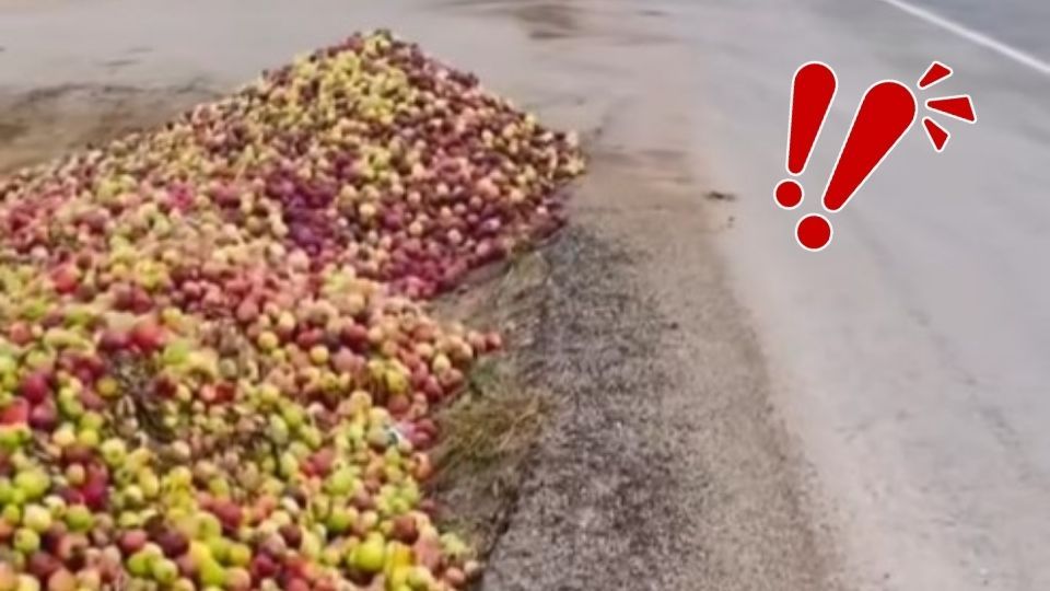 Yahyalı’da yol kenarına yığılan elmalar tartışma yarattı: Belediye “israf” iddialarına yanıt verdi