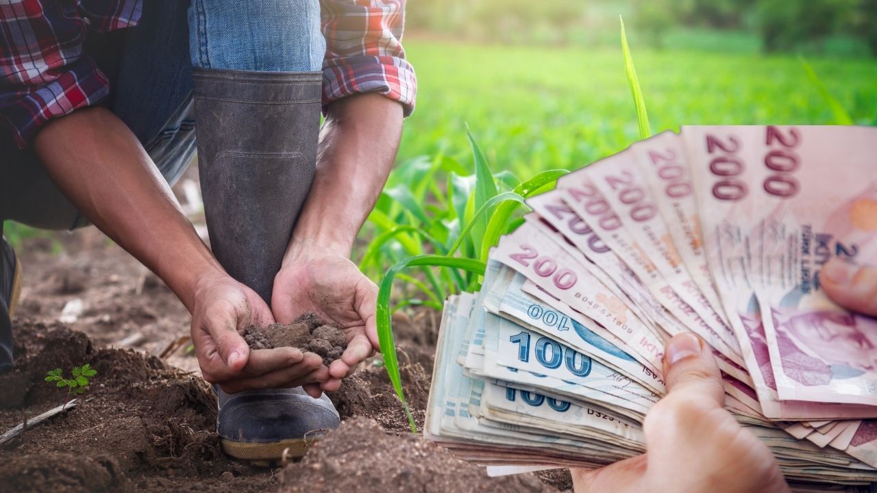 Genç çiftçilere 5 milyon TL kredi desteği! Başvuru şartları belli oldu