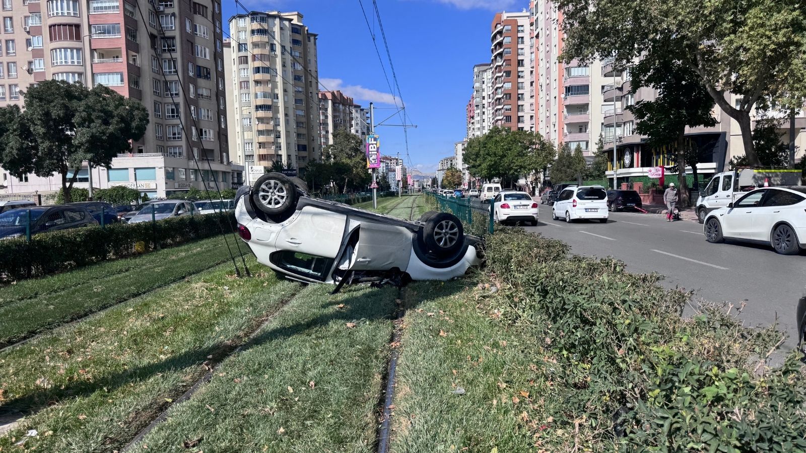 Haber - 2026-10-18T134805.233.jpg