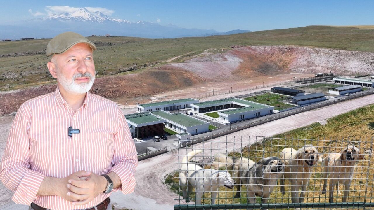 Kocasinan’da can dostlar için örnek hizmet! Tüm ihtiyaçları karşılanıyor